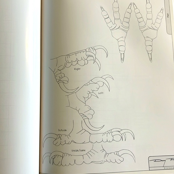 The Illustrated Bald Eagle by Denny Rogers Softcover Book EXC - Picture 9 of 16